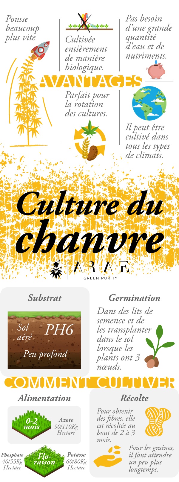Image montrant les exigences pour la culture du chanvre et une infographie représentant les avantages de la culture du chanvre*. Image montrant les exigences pour la culture du chanvre et une infographie représentant les avantages de la culture du chanvre*.