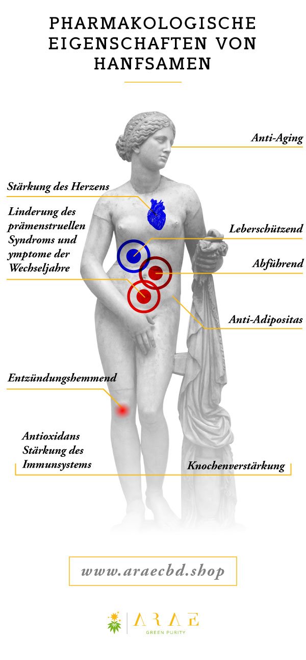 Dieses Bild zeigt die verschiedenen medizinischen Eigenschaften von Hanfsamen* Dieses Bild zeigt die verschiedenen medizinischen Eigenschaften von Hanfsamen*